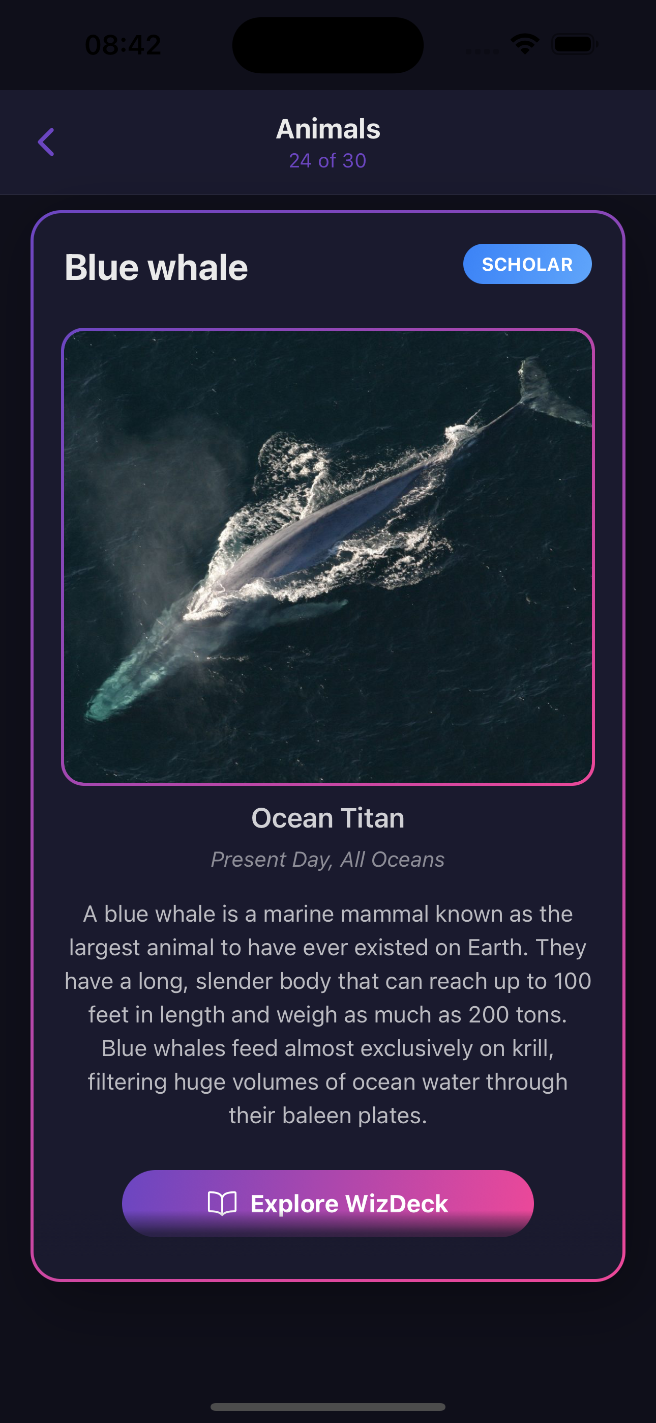 WizCard detail view